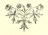 An illustration from Daily Help for Daily Need. A selection of Scripture verses and poetry for every day in the year. Edited by M. E. Shipley (1873)