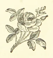 An illustration from Daily Help for Daily Need. A selection of Scripture verses and poetry for every day in the year. Edited by M. E. Shipley (1873)