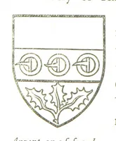 Picture 21 of 91 from The History of the County of Monaghan (1879), leaf 166