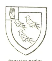 Picture 46 of 91 from The History of the County of Monaghan (1879), leaf 242