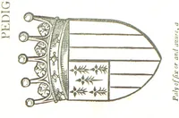 Picture 66 of 91 from The History of the County of Monaghan (1879), leaf 310