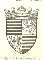 Picture 68 of 91 from The History of the County of Monaghan (1879), leaf 312