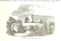 Picture 8 of 91 from The History of the County of Monaghan (1879), leaf 41