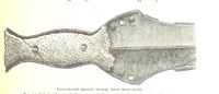 Picture 85 of 91 from The History of the County of Monaghan (1879), leaf 513