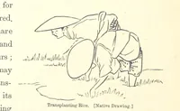 Picture 11 of 46 from Sketches of Japanese Manners and Customs ... Illustrated by native drawings, reproduced in fac-simile by means of chromo-lithography (1867), leaf 38
