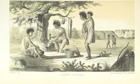 An illustration from Report of an expedition down the Zuni and Colorado Rivers by Captain L. Sitgreaves ... Illustrations. (Report on ... Natural History ... by S. W. Woodhouse. Zoology: mammals and birds by S. W. Woodhouse; reptiles by E. Hallowell; fishes by S. F. Baird and C. Girard. Botany: by Professor J. Torrey. Medical report; by S. W. Woodhouse.) (1853)