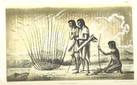 An illustration from Report of an expedition down the Zuni and Colorado Rivers by Captain L. Sitgreaves ... Illustrations. (Report on ... Natural History ... by S. W. Woodhouse. Zoology: mammals and birds by S. W. Woodhouse; reptiles by E. Hallowell; fishes by S. F. Baird and C. Girard. Botany: by Professor J. Torrey. Medical report; by S. W. Woodhouse.) (1853)