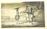 An illustration from Report of an expedition down the Zuni and Colorado Rivers by Captain L. Sitgreaves ... Illustrations. (Report on ... Natural History ... by S. W. Woodhouse. Zoology: mammals and birds by S. W. Woodhouse; reptiles by E. Hallowell; fishes by S. F. Baird and C. Girard. Botany: by Professor J. Torrey. Medical report; by S. W. Woodhouse.) (1853)