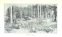 An illustration from По Сѣверу Россіи. Путешествіе ихъ Императорскихъ Высочествъ, Великаго Князя Владиміра Александровича и Великой Княгини Маріи Павловны въ 1884 и 1885 годахъ. [Illustrated (1886)