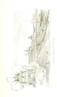 An illustration from По Сѣверу Россіи. Путешествіе ихъ Императорскихъ Высочествъ, Великаго Князя Владиміра Александровича и Великой Княгини Маріи Павловны въ 1884 и 1885 годахъ. [Illustrated (1886)