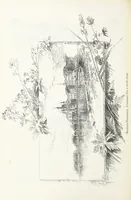 Picture 62 of 198 from По Сѣверо-Западу Россіи. [With illustrations and maps (1897), leaf 134