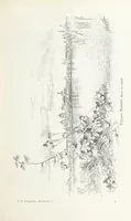 Picture 80 of 198 from По Сѣверо-Западу Россіи. [With illustrations and maps (1897), leaf 169