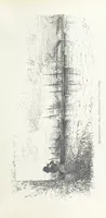 An illustration from По Сѣверо-Западу Россіи. [With illustrations and maps (1897)