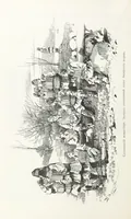 Picture 122 of 198 from По Сѣверо-Западу Россіи. [With illustrations and maps (1897), leaf 264