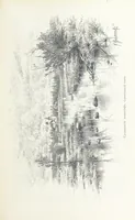 Picture 127 of 198 from По Сѣверо-Западу Россіи. [With illustrations and maps (1897), leaf 273
