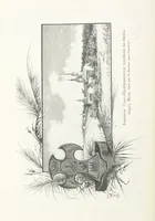 Picture 13 of 198 from По Сѣверо-Западу Россіи. [With illustrations and maps (1897), leaf 30
