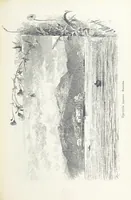 Picture 146 of 198 from По Сѣверо-Западу Россіи. [With illustrations and maps (1897), leaf 331