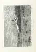 Picture 168 of 198 from По Сѣверо-Западу Россіи. [With illustrations and maps (1897), leaf 396