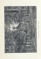 Picture 169 of 198 from По Сѣверо-Западу Россіи. [With illustrations and maps (1897), leaf 397