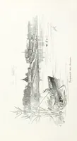 Picture 173 of 198 from По Сѣверо-Западу Россіи. [With illustrations and maps (1897), leaf 410