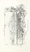 Picture 24 of 198 from По Сѣверо-Западу Россіи. [With illustrations and maps (1897), leaf 50