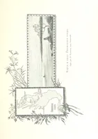 An illustration from По Сѣверо-Западу Россіи. [With illustrations and maps (1897)