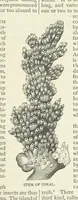 An illustration from A Hundred Wonders of the world in nature and art. Described according to the latest authorities and profusely illustrated. Edited by J. Small (1876)