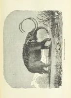 An illustration from A Hundred Wonders of the world in nature and art. Described according to the latest authorities and profusely illustrated. Edited by J. Small (1876)