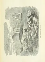 An illustration from A Hundred Wonders of the world in nature and art. Described according to the latest authorities and profusely illustrated. Edited by J. Small (1876)