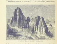 An illustration from A Hundred Wonders of the world in nature and art. Described according to the latest authorities and profusely illustrated. Edited by J. Small (1876)