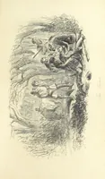 Picture 16 of 38 from Harry Coverdale's Courtship, and all that came of it. ... With illustrations by Phiz (1854), leaf 245