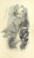 Picture 17 of 38 from Harry Coverdale's Courtship, and all that came of it. ... With illustrations by Phiz (1854), leaf 253