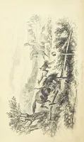 An illustration from Harry Coverdale's Courtship, and all that came of it. ... With illustrations by Phiz (1854)