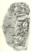 An illustration from The Struggles and Adventures of Christopher Tadpole at home and abroad. Illustrated by Leech (1864)