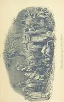 An illustration from The Struggle and Adventures of Christopher Tadpole ... With 26 etchings by J. Leech, and a biographical sketch of the author [by Edmund Yates (1897)
