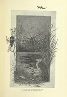 An illustration from Illustrated British Ballads, old and new. Selected and edited by G. B. Smith (1886)