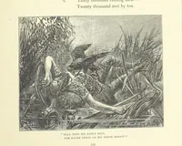 Picture 169 of 186 from Illustrated British Ballads, old and new. Selected and edited by G. B. Smith (1886), leaf 361