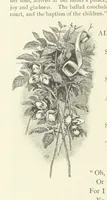 Picture 183 of 186 from Illustrated British Ballads, old and new. Selected and edited by G. B. Smith (1886), leaf 384