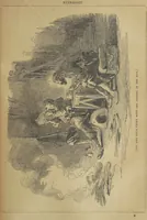 An illustration from Minnigrey. A romance ... Illustrated by Sir John Gilbert (1897)