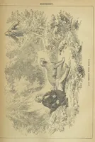 An illustration from Minnigrey. A romance ... Illustrated by Sir John Gilbert (1897)