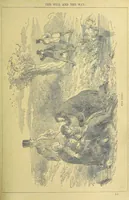 Picture 11 of 23 from The Will and the Way ... Illustrated by Sir John Gilbert (1888), leaf 159