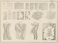 An illustration from A Manual of Topographical Drawing ... Enlarged by C. McMillan (1885)