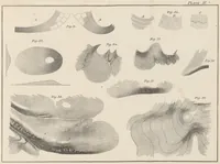 An illustration from A Manual of Topographical Drawing ... Enlarged by C. McMillan (1885)