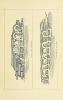 An illustration from The History and Antiquities of Morley, in the West Riding of ... York. With ... illustrations (1876)