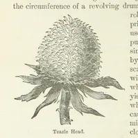 An illustration from The History and Antiquities of Morley, in the West Riding of ... York. With ... illustrations (1876)