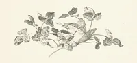 An illustration from Old Songs. With drawings by E. A. Abbey and Alfred Parsons (1889)