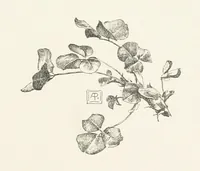 An illustration from Old Songs. With drawings by E. A. Abbey and Alfred Parsons (1889)