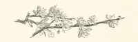 An illustration from Old Songs. With drawings by E. A. Abbey and Alfred Parsons (1889)