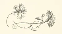 An illustration from Old Songs. With drawings by E. A. Abbey and Alfred Parsons (1889)