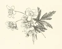 An illustration from Old Songs. With drawings by E. A. Abbey and Alfred Parsons (1889)